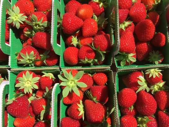 Fraises Charlottes