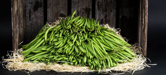 Haricots verts 1 Kg SANS FIL EXTRA