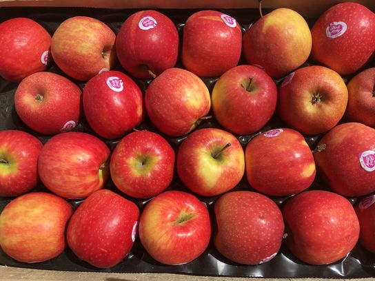 Pomme Pink Lady