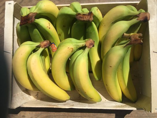 Bananes 500 g