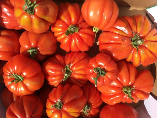 Tomates coeur de boeuf 500 g
