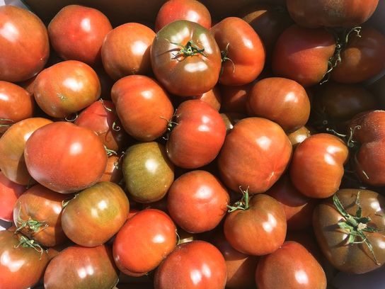 Tomates Noires de Crimée