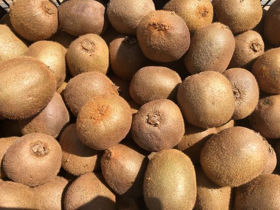 Kiwis verts 500 g