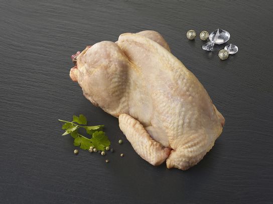 Chapon de Pintade (Pintadon) du Périgord - 2 kg