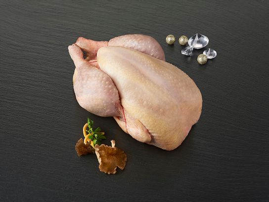 Poularde du Périgord -  2.2 KG
