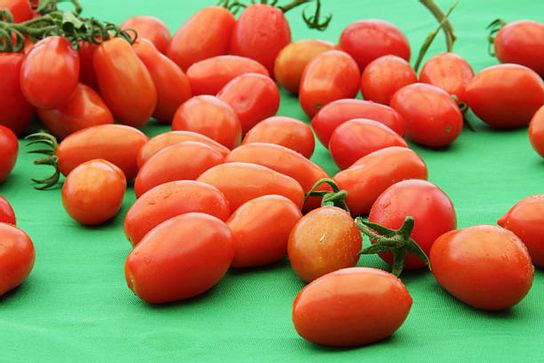 Tomates allongées