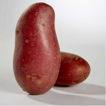 Click Collect Pomme De Terre Rouge A Hazebrouck Prise Direct Hazebrouck Ollca