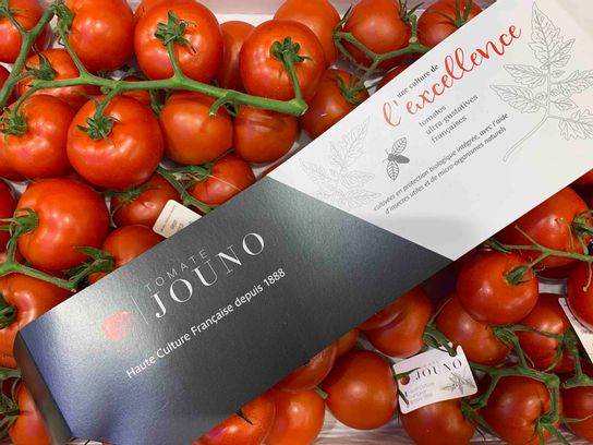 Tomate grappe extra Jounot