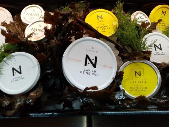 Caviar Osciètre Signature 100 g (A)