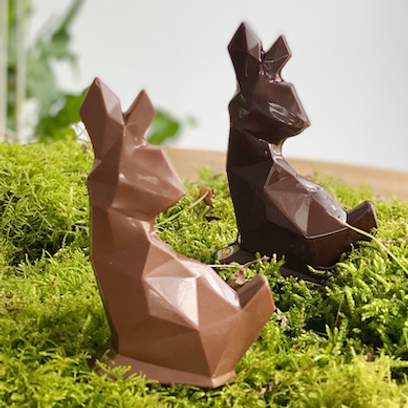 Flavien le lapin Noir