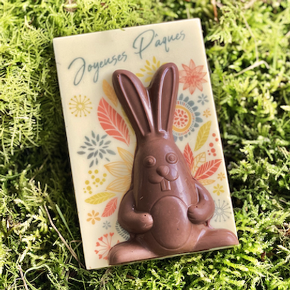 Antonin le lapin 3D