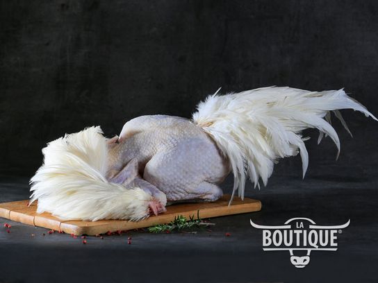 Chapon de Région des "5 Frères" - Prêt à Cuire