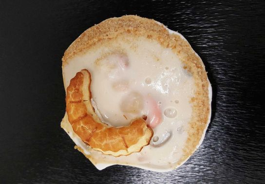 Coquille Saint-Jacques
