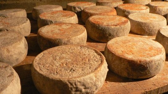 Tomme de brebis 100g