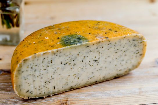 Tomme aux orties
