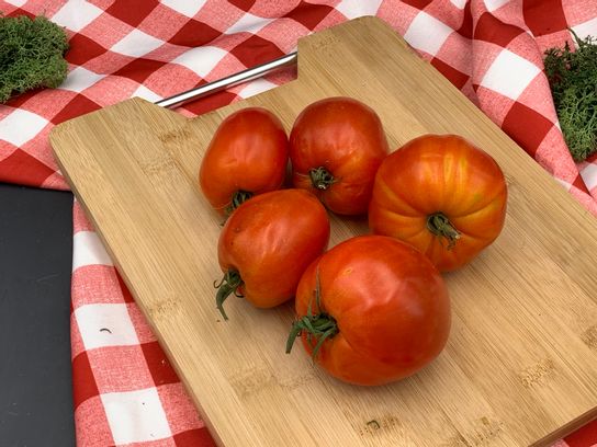Tomate allongée cœur avignon