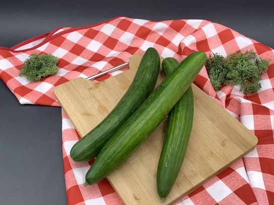 Concombre