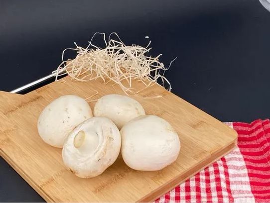 Champignons blanc