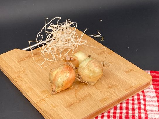 Oignon filet 1kg