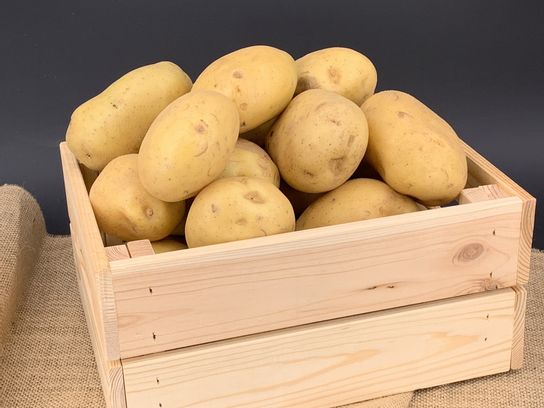 Pomme de terre four vrac