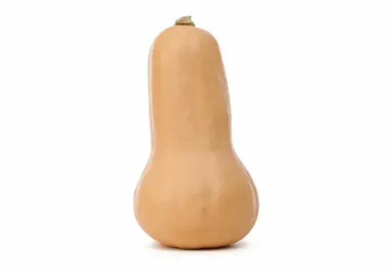 Butternut