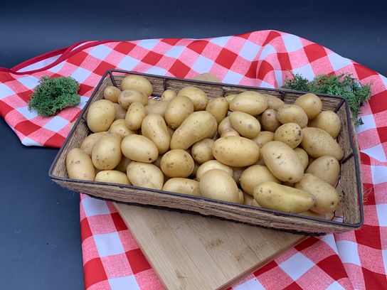 Pomme de terre grenaille