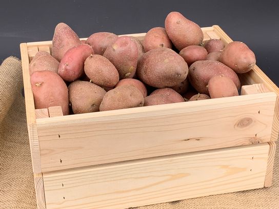 Pomme de terre Vapeur rouge- filet de 2,5 kg