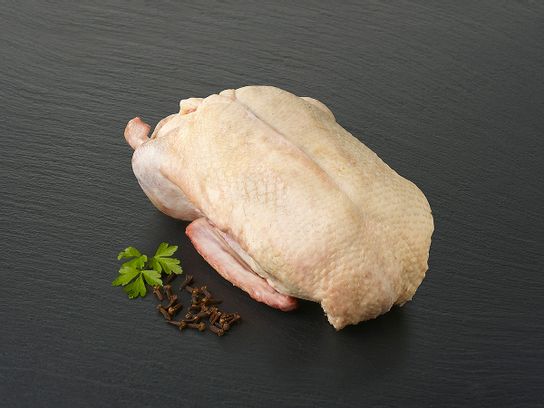 Canette Label