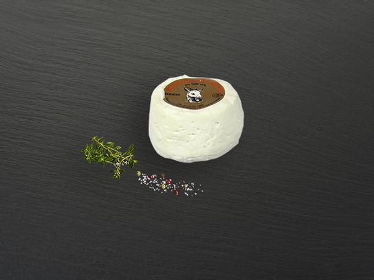 Chèvre de la Ferme des clochettes