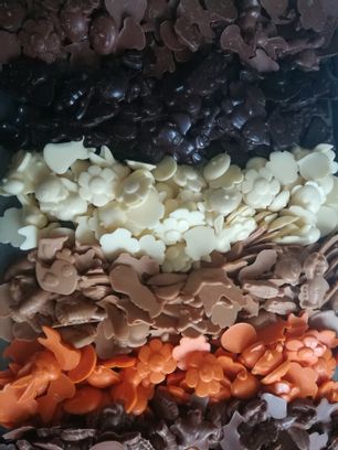 Fritures de fleurs (en sachet)