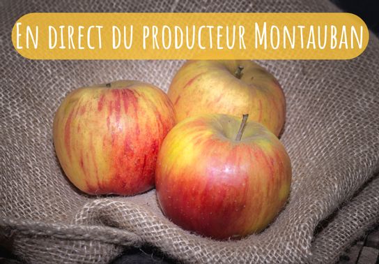 Pomme reine des Reinettes
