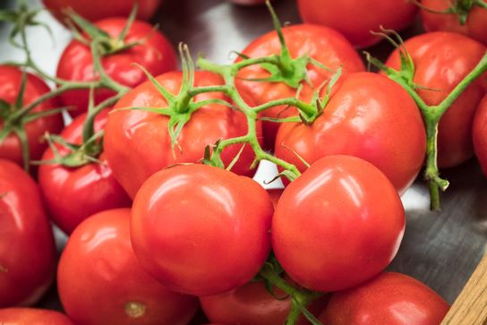 Tomate ronde à partir 2kg