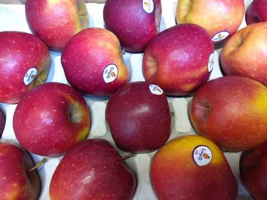 Pomme Jonagored