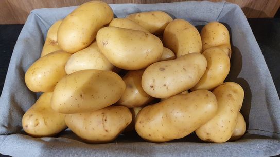 Lot de 2 kg pommes de terre à chair ferme " Gourmandine"