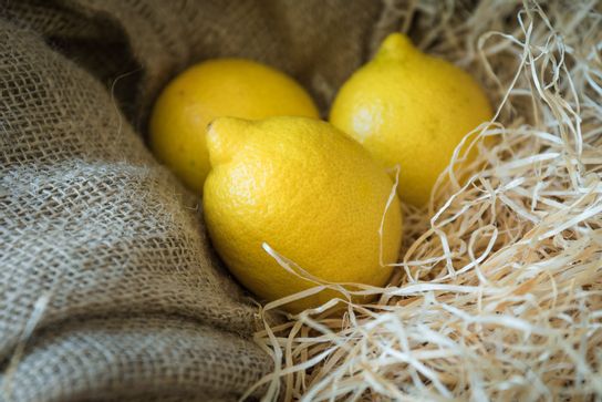 Citron jaune (lot de 3)