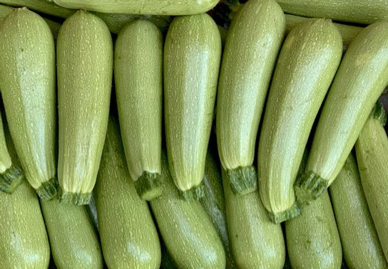 Courgette Blanche