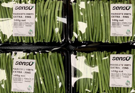Haricots Verts Extra-Fins Equeutés Bqt