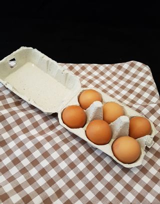 6 œufs frais