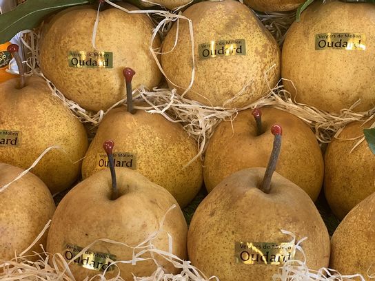 Poire Passe Crassane pièce