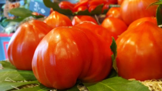 Tomate cœur de bœuf