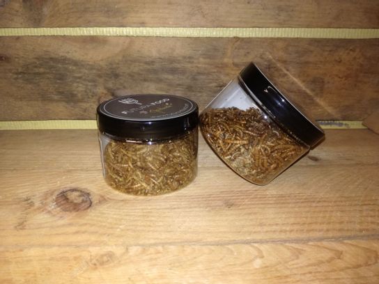 Vers de farine Truffe