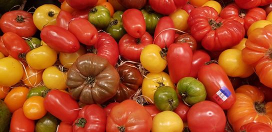 Tomate pour salades (variétés anciennes)