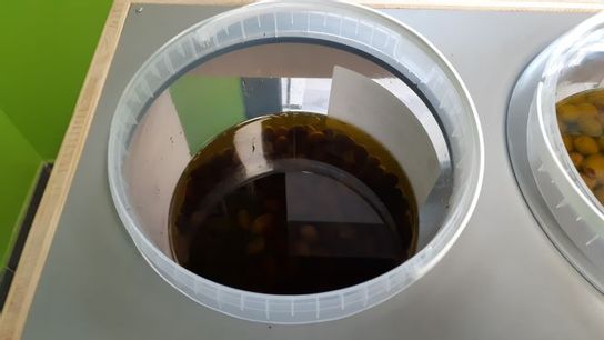 Olives Kalamata