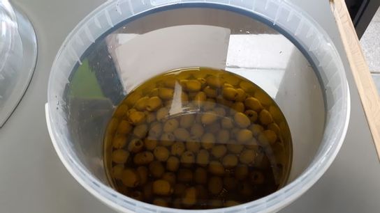 Olives Vertes