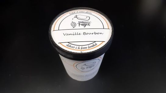 Glace Vanille Bourbon 100 g