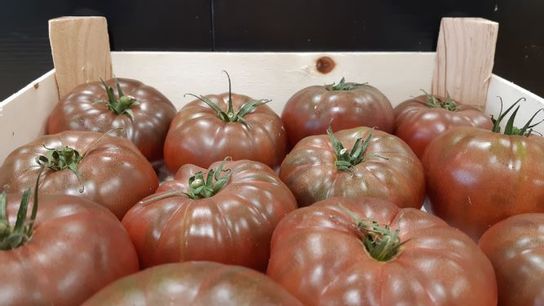 Tomate à côtes noire de crimée