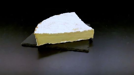 Brie de meaux