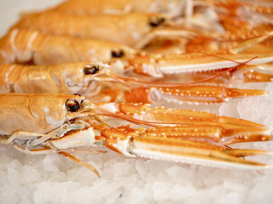 Langoustine cuite Ecosse