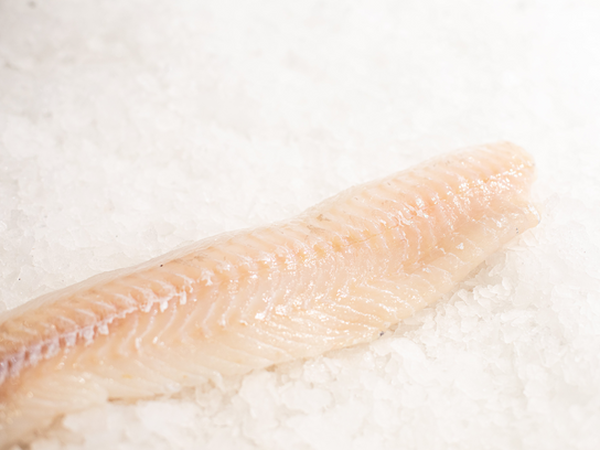 Filet de lingue bleue