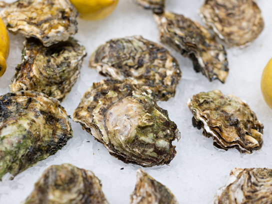 Huîtres étoile carnac n 4